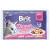 Brit Premium Cat D Fillets in Jelly Dinner Plate 340g