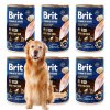 6x Brit Premium Dog by Nature konz Fish&Fish Skin 400g