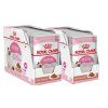 2x Royal Canin Kitten kapsičky ve šťávě 12x85g