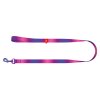 WAUDOG vodítko nylon Gradient fialovo-růžové (L-XXL/122cm/2,5cm)