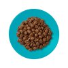 Applaws granule Cat Adult Mořské ryby s lososem 6kg