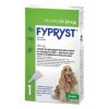 Fypryst Spot-on Dog M sol 1x1,34ml (10-20kg)