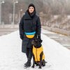 AiryVest bunda pro psy žlutá/modrá  M 50