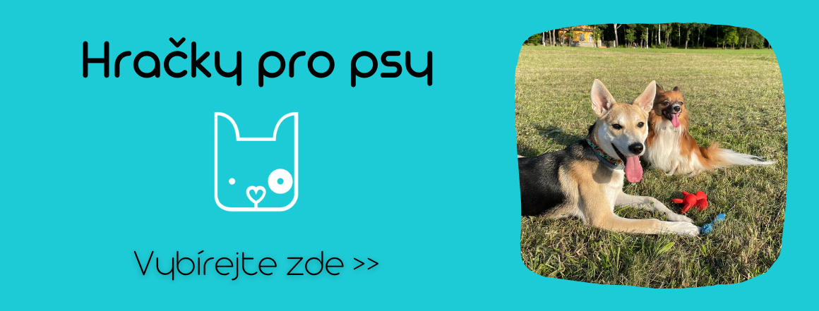 Hračky pro psy