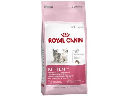 Royal Canin Kitten 36