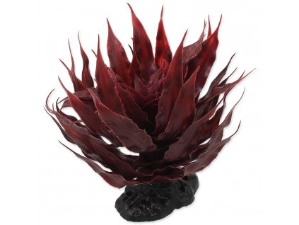 Rostlina REPTI PLANET sukulent Agave červená 18 cm