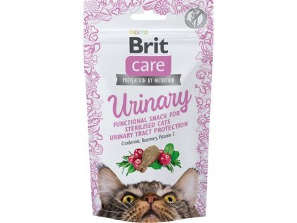 brit snack urinary 50g