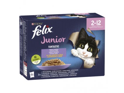 felix fantastic Junior