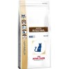 Royal Canin VD Cat Dry Gastro Intestinal GI32