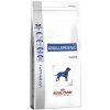 Royal Canin VD Dog Dry Anallergenic