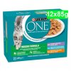 purina one indoor 12x85g