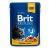 Brit Premium Cat kapsa with Salmon & Trout 100g