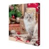 Adventní kalendář pro kočky 380g TR