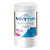 VITAR ArtiVit Forte prášek 600g