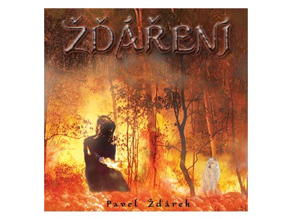 Pavel Žďárek - ŽĎÁŘENÍ (2019)