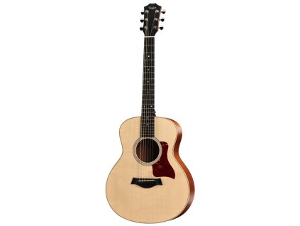 TAYLOR GS Mini
