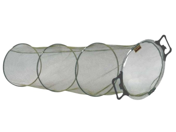 Vez1 removebg preview