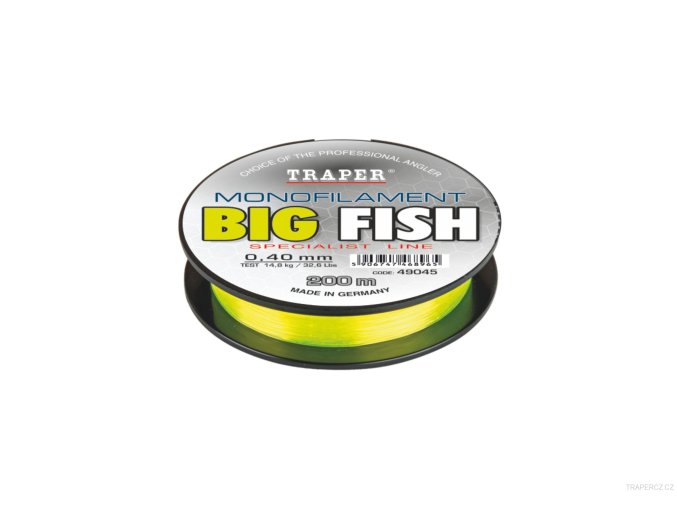 fluo big fish