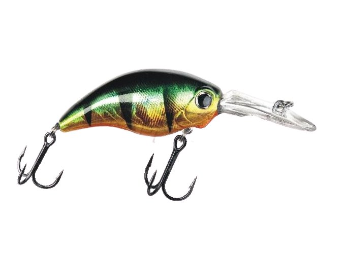 13360 removebg preview removebg preview