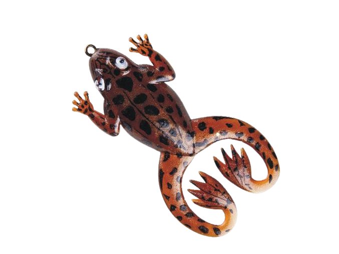 zaba2 removebg preview