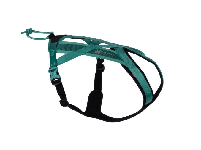 94551 rush harness teal