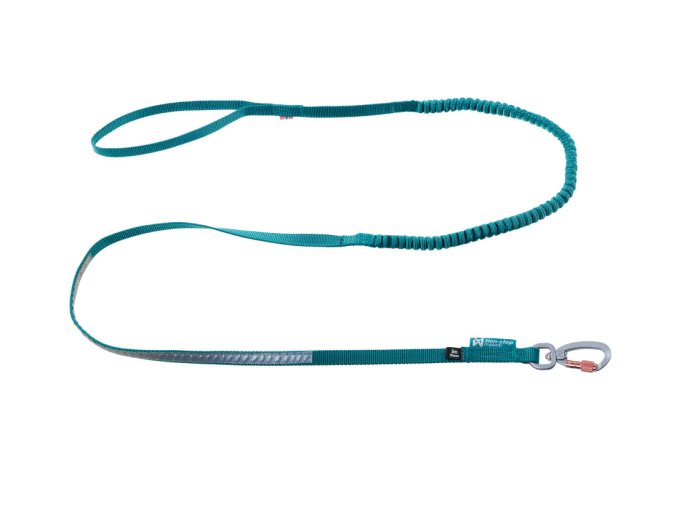 94563 touring bungee leash teal