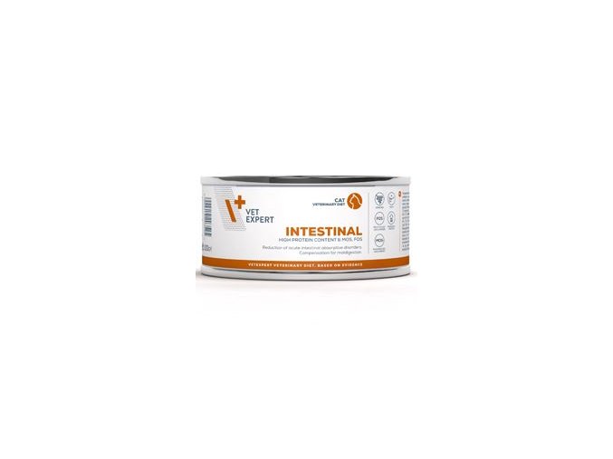 VetExpert VD 4T Intestinal Cat konzerva 100g
