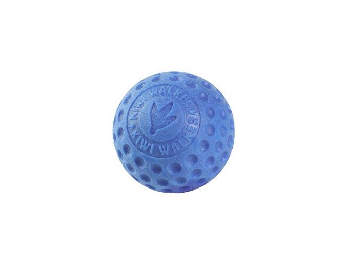 Hračka pes BALL MINI plov. z TPR Kiwi