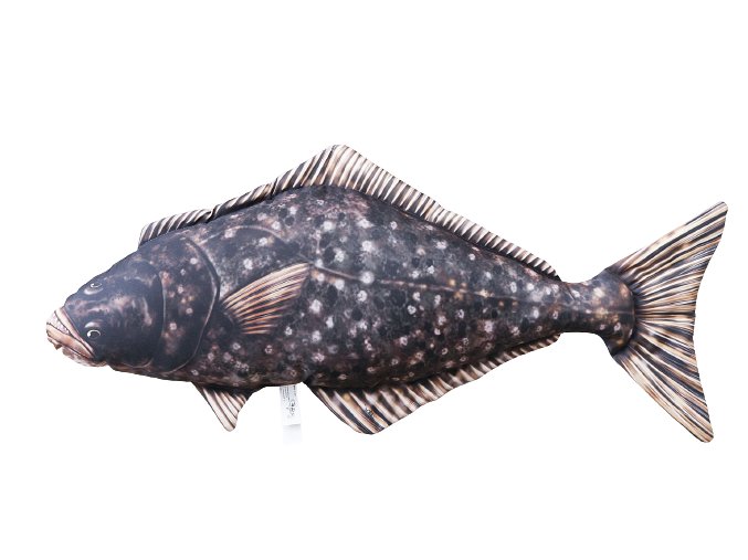 vyr 11672Halibut 72cm GP 780217 Hippoglossus 1 removebg preview removebg preview