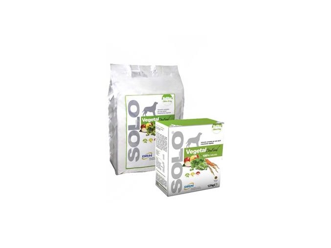 SOLO Vegetal dry dog