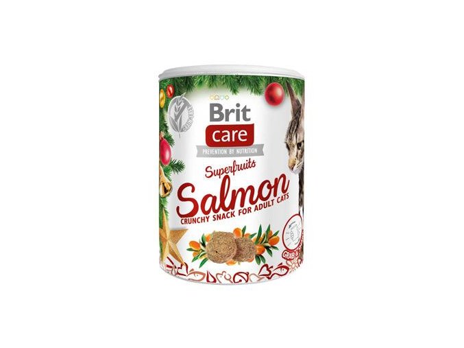 Brit Care Christmas Cat Superfruits 100 g