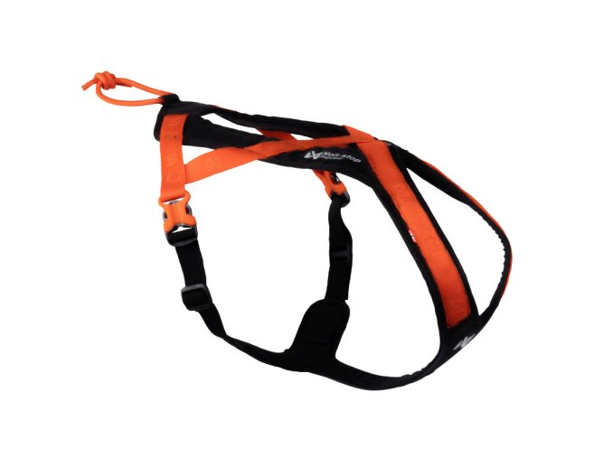 Rush harness | black/orange