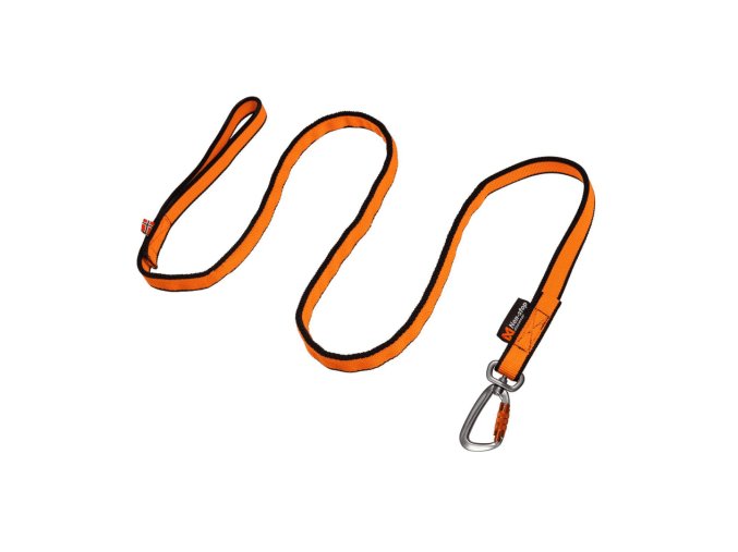 Bungee Leash | 2m