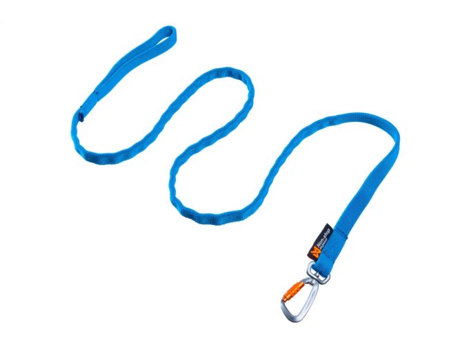 Bungee leash blue | 2 m