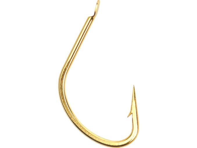 kaizu gold removebg preview