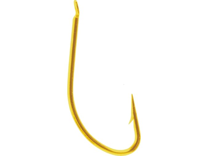 shiro gold removebg preview