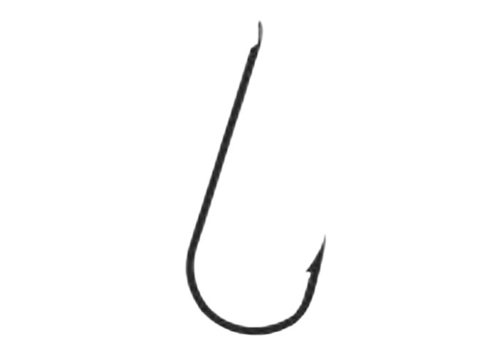 chika single removebg preview