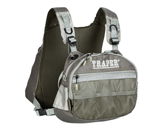 ca1 removebg preview