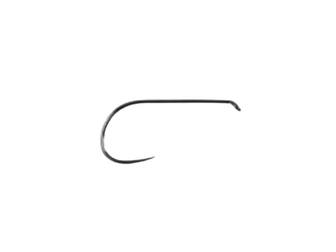 DF04 removebg preview