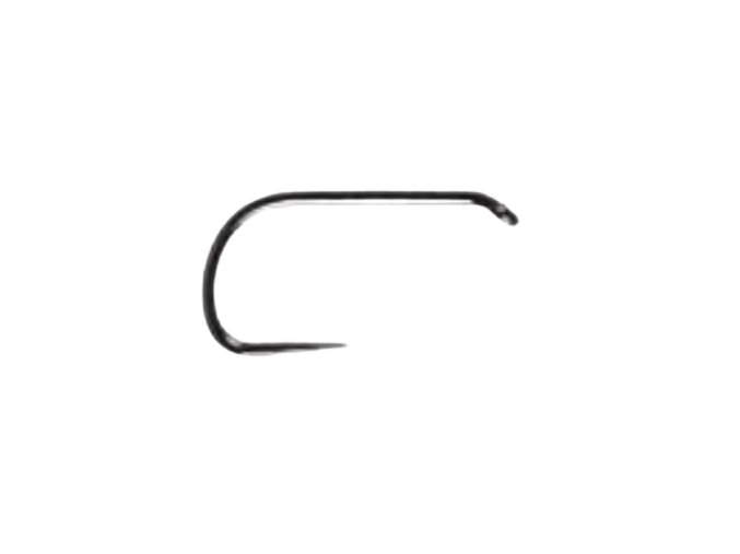 WL00 removebg preview