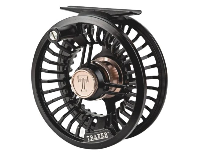 spider removebg preview