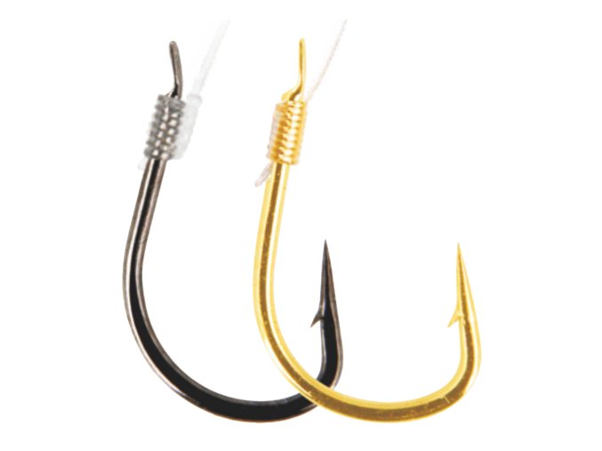 obrázek 2022 10 13 233344894 removebg preview