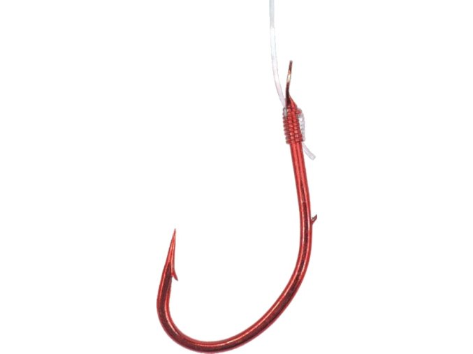 1 2 removebg preview