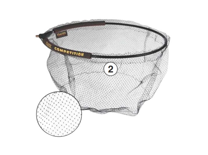 champion removebg preview