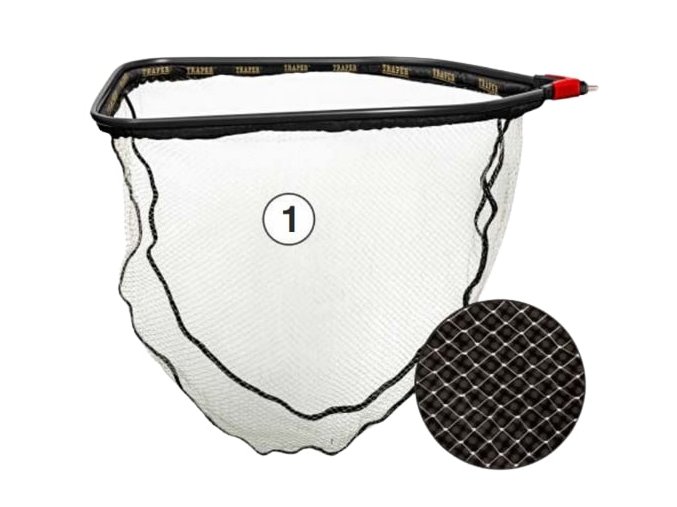 Penta removebg preview