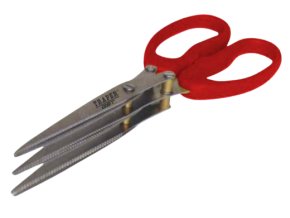 nozky gst removebg preview (1)