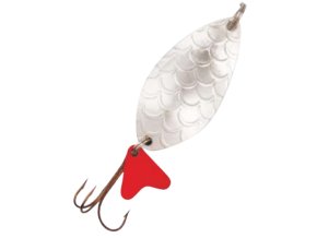 alga removebg preview (1)