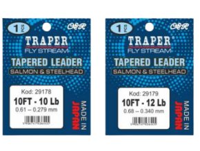 salmon removebg preview