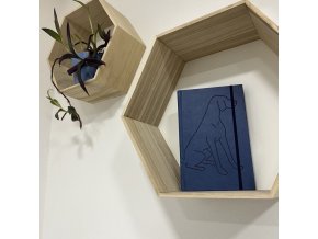 Nedatovaný diář Loype (Barva modrá)