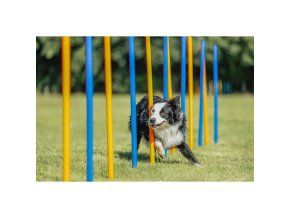 AGILITY Slalom, tyče 12ks